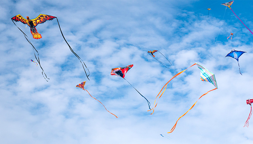 Kite Flying in Bermuda